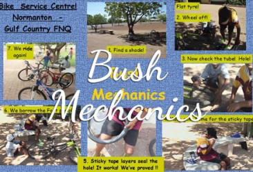 Bush Mechanics